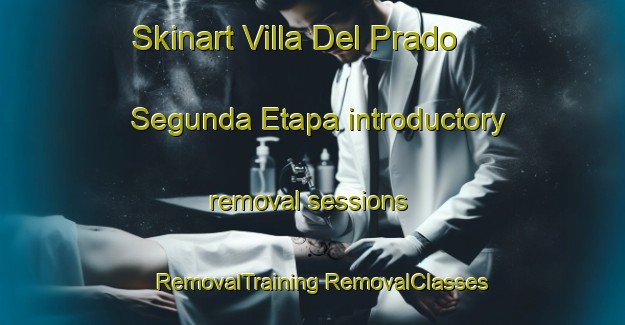 Skinart Villa Del Prado Segunda Etapa introductory removal sessions | #RemovalTraining #RemovalClasses #SkinartTraining-Mexico