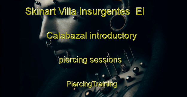 Skinart Villa Insurgentes  El Calabazal introductory piercing sessions | #PiercingTraining #PiercingClasses #SkinartTraining-Mexico