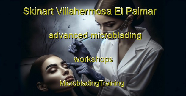 Skinart Villahermosa El Palmar advanced microblading workshops | #MicrobladingTraining #MicrobladingClasses #SkinartTraining-Mexico