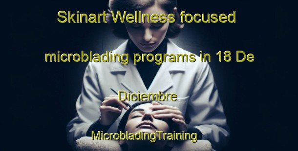 Skinart Wellness-focused microblading programs in 18 De Diciembre | MicrobladingTraining | MicrobladingClasses | SkinartTraining-Mexico