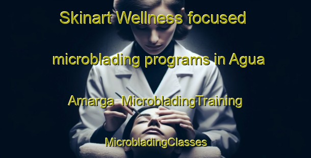 Skinart Wellness-focused microblading programs in Agua Amarga | #MicrobladingTraining #MicrobladingClasses #SkinartTraining-Mexico