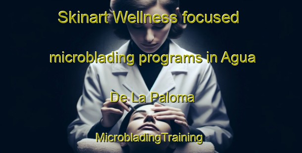 Skinart Wellness-focused microblading programs in Agua De La Paloma | #MicrobladingTraining #MicrobladingClasses #SkinartTraining-Mexico