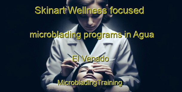 Skinart Wellness-focused microblading programs in Agua El Venado | #MicrobladingTraining #MicrobladingClasses #SkinartTraining-Mexico