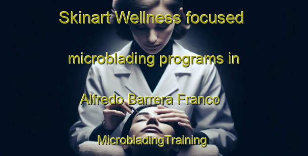 Skinart Wellness-focused microblading programs in Alfredo Barrera Franco | #MicrobladingTraining #MicrobladingClasses #SkinartTraining-Mexico