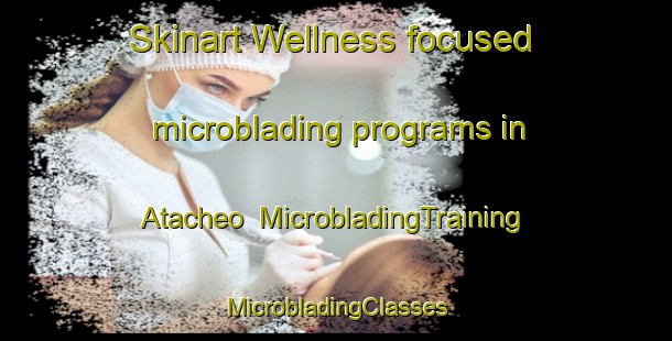 Skinart Wellness-focused microblading programs in Atacheo | #MicrobladingTraining #MicrobladingClasses #SkinartTraining-Mexico