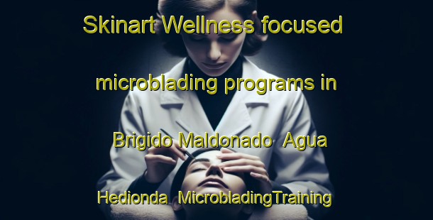 Skinart Wellness-focused microblading programs in Brigido Maldonado  Agua Hedionda | #MicrobladingTraining #MicrobladingClasses #SkinartTraining-Mexico