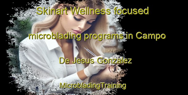 Skinart Wellness-focused microblading programs in Campo De Jesus Gonzalez | #MicrobladingTraining #MicrobladingClasses #SkinartTraining-Mexico