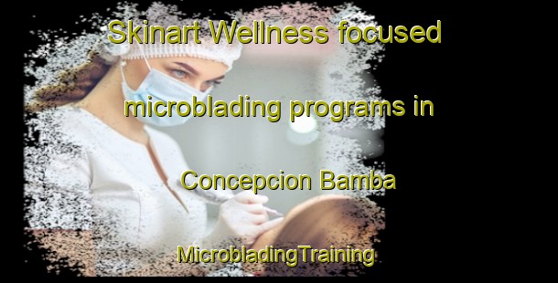 Skinart Wellness-focused microblading programs in Concepcion Bamba | #MicrobladingTraining #MicrobladingClasses #SkinartTraining-Mexico