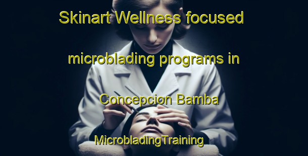 Skinart Wellness-focused microblading programs in Concepcion Bamba | MicrobladingTraining | MicrobladingClasses | SkinartTraining-Mexico