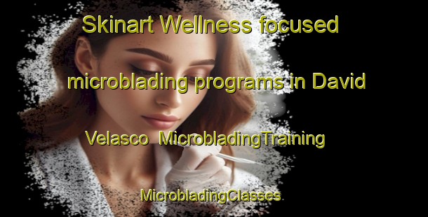 Skinart Wellness-focused microblading programs in David Velasco | MicrobladingTraining | MicrobladingClasses | SkinartTraining-Mexico