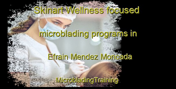 Skinart Wellness-focused microblading programs in Efrain Mendez Moncada | #MicrobladingTraining #MicrobladingClasses #SkinartTraining-Mexico