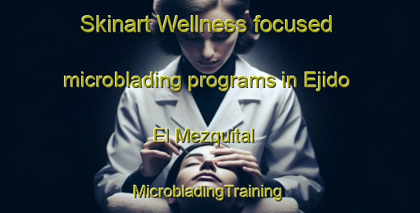 Skinart Wellness-focused microblading programs in Ejido El Mezquital | #MicrobladingTraining #MicrobladingClasses #SkinartTraining-Mexico