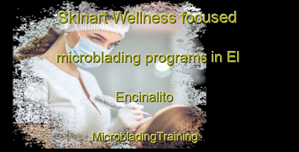 Skinart Wellness-focused microblading programs in El Encinalito | MicrobladingTraining | MicrobladingClasses | SkinartTraining-Mexico