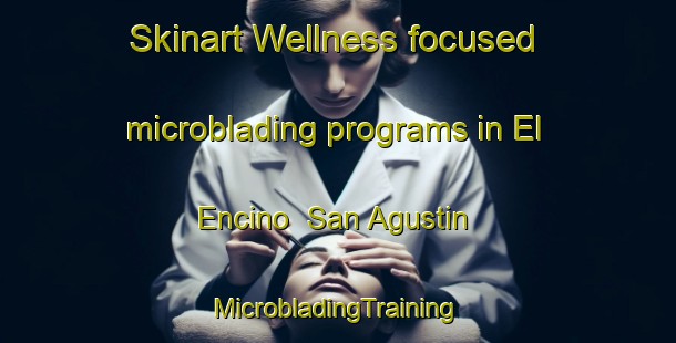 Skinart Wellness-focused microblading programs in El Encino  San Agustin | #MicrobladingTraining #MicrobladingClasses #SkinartTraining-Mexico