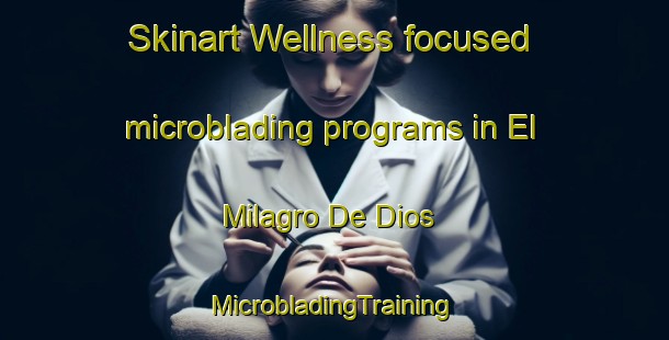 Skinart Wellness-focused microblading programs in El Milagro De Dios | #MicrobladingTraining #MicrobladingClasses #SkinartTraining-Mexico