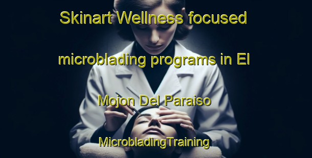 Skinart Wellness-focused microblading programs in El Mojon Del Paraiso | #MicrobladingTraining #MicrobladingClasses #SkinartTraining-Mexico