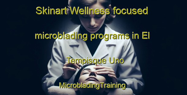 Skinart Wellness-focused microblading programs in El Tempisque Uno | #MicrobladingTraining #MicrobladingClasses #SkinartTraining-Mexico