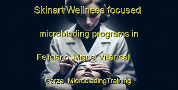 Skinart Wellness-focused microblading programs in Feliciano  Miguel Villarreal Garza | #MicrobladingTraining #MicrobladingClasses #SkinartTraining-Mexico