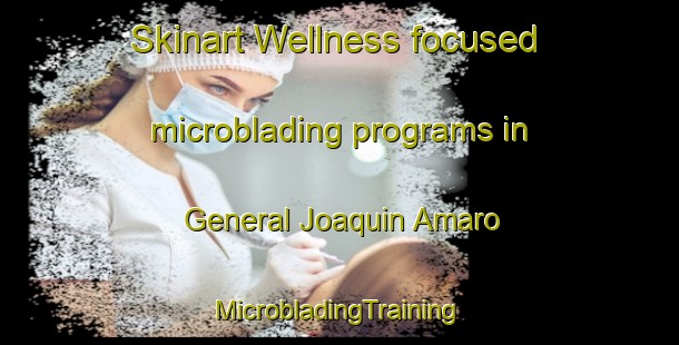 Skinart Wellness-focused microblading programs in General Joaquin Amaro | #MicrobladingTraining #MicrobladingClasses #SkinartTraining-Mexico