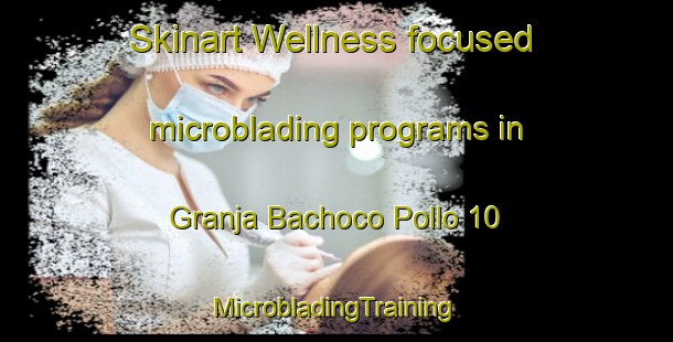 Skinart Wellness-focused microblading programs in Granja Bachoco Pollo 10 | #MicrobladingTraining #MicrobladingClasses #SkinartTraining-Mexico