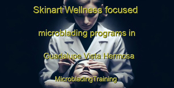 Skinart Wellness-focused microblading programs in Guadalupe Vista Hermosa | #MicrobladingTraining #MicrobladingClasses #SkinartTraining-Mexico