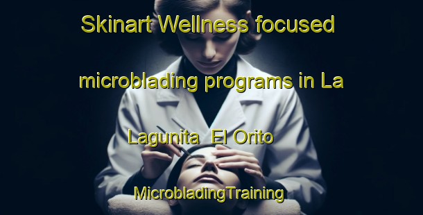 Skinart Wellness-focused microblading programs in La Lagunita  El Orito | #MicrobladingTraining #MicrobladingClasses #SkinartTraining-Mexico