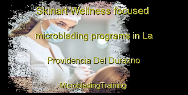 Skinart Wellness-focused microblading programs in La Providencia Del Durazno | #MicrobladingTraining #MicrobladingClasses #SkinartTraining-Mexico