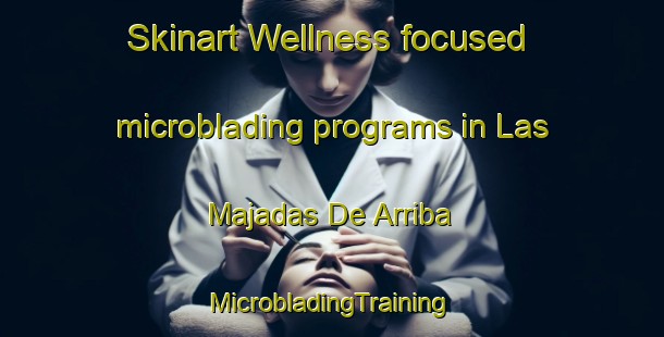 Skinart Wellness-focused microblading programs in Las Majadas De Arriba | #MicrobladingTraining #MicrobladingClasses #SkinartTraining-Mexico