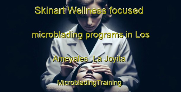 Skinart Wellness-focused microblading programs in Los Ameyales  La Joyita | #MicrobladingTraining #MicrobladingClasses #SkinartTraining-Mexico