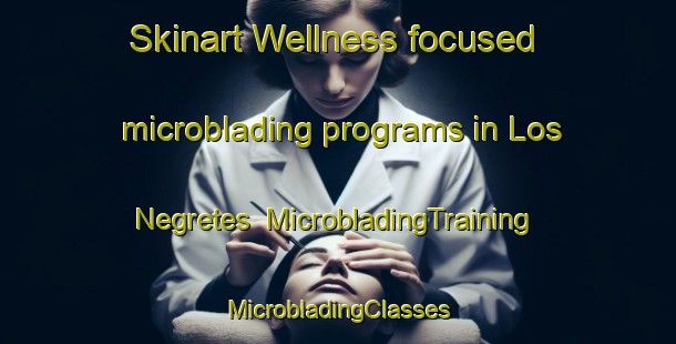 Skinart Wellness-focused microblading programs in Los Negretes | #MicrobladingTraining #MicrobladingClasses #SkinartTraining-Mexico