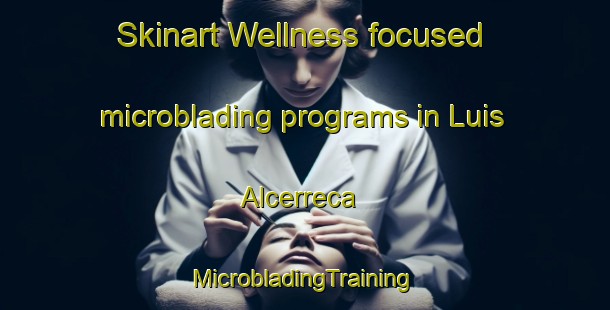 Skinart Wellness-focused microblading programs in Luis Alcerreca | #MicrobladingTraining #MicrobladingClasses #SkinartTraining-Mexico