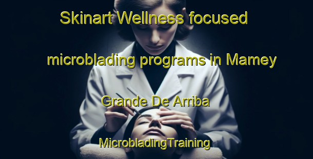 Skinart Wellness-focused microblading programs in Mamey Grande De Arriba | #MicrobladingTraining #MicrobladingClasses #SkinartTraining-Mexico