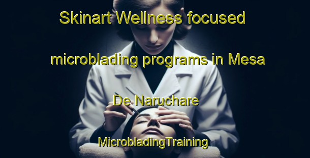 Skinart Wellness-focused microblading programs in Mesa De Naruchare | #MicrobladingTraining #MicrobladingClasses #SkinartTraining-Mexico