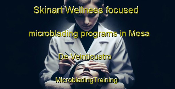 Skinart Wellness-focused microblading programs in Mesa De Veinticuatro | #MicrobladingTraining #MicrobladingClasses #SkinartTraining-Mexico