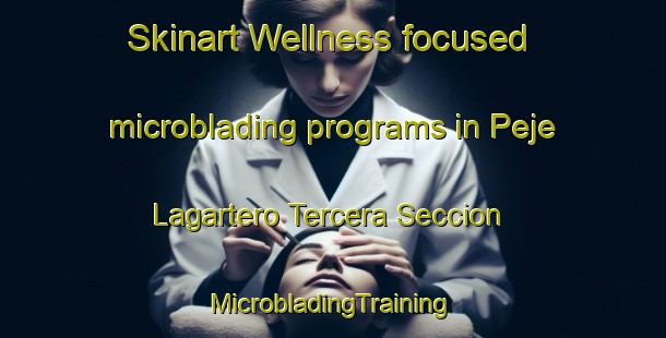 Skinart Wellness-focused microblading programs in Peje Lagartero Tercera Seccion | #MicrobladingTraining #MicrobladingClasses #SkinartTraining-Mexico