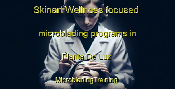 Skinart Wellness-focused microblading programs in Planta De Luz | #MicrobladingTraining #MicrobladingClasses #SkinartTraining-Mexico