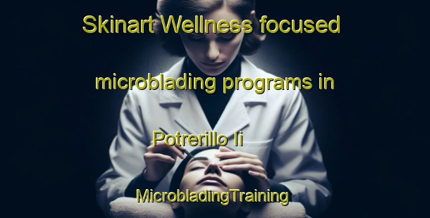 Skinart Wellness-focused microblading programs in Potrerillo Ii | #MicrobladingTraining #MicrobladingClasses #SkinartTraining-Mexico