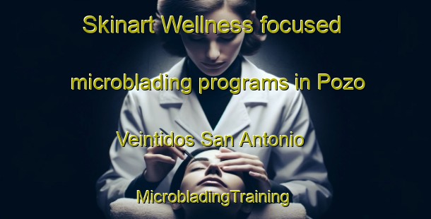 Skinart Wellness-focused microblading programs in Pozo Veintidos San Antonio | #MicrobladingTraining #MicrobladingClasses #SkinartTraining-Mexico