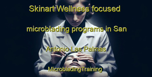 Skinart Wellness-focused microblading programs in San Antonio Las Palmas | #MicrobladingTraining #MicrobladingClasses #SkinartTraining-Mexico