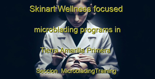 Skinart Wellness-focused microblading programs in Tierra Amarilla Primera Seccion | #MicrobladingTraining #MicrobladingClasses #SkinartTraining-Mexico