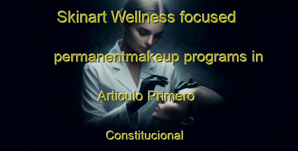 Skinart Wellness-focused permanentmakeup programs in Articulo Primero Constitucional | #PermanentmakeupTraining #PermanentmakeupClasses #SkinartTraining-Mexico