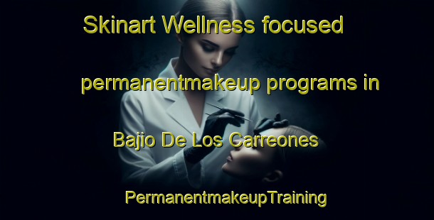 Skinart Wellness-focused permanentmakeup programs in Bajio De Los Carreones | #PermanentmakeupTraining #PermanentmakeupClasses #SkinartTraining-Mexico