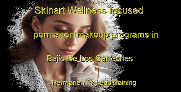 Skinart Wellness-focused permanentmakeup programs in Bajio De Los Carreones | #PermanentmakeupTraining #PermanentmakeupClasses #SkinartTraining-Mexico