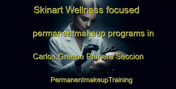 Skinart Wellness-focused permanentmakeup programs in Carlos Greene Primera Seccion | #PermanentmakeupTraining #PermanentmakeupClasses #SkinartTraining-Mexico