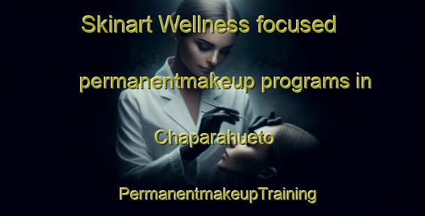 Skinart Wellness-focused permanentmakeup programs in Chaparahueto | PermanentmakeupTraining | PermanentmakeupClasses | SkinartTraining-Mexico