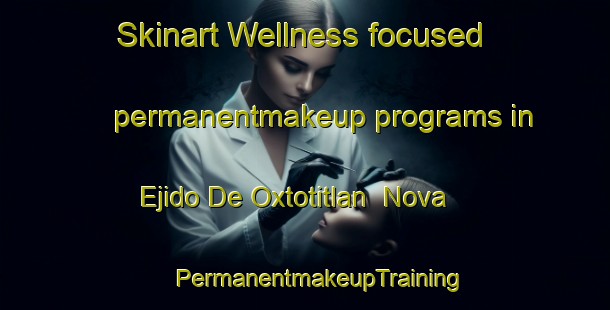 Skinart Wellness-focused permanentmakeup programs in Ejido De Oxtotitlan  Nova | #PermanentmakeupTraining #PermanentmakeupClasses #SkinartTraining-Mexico