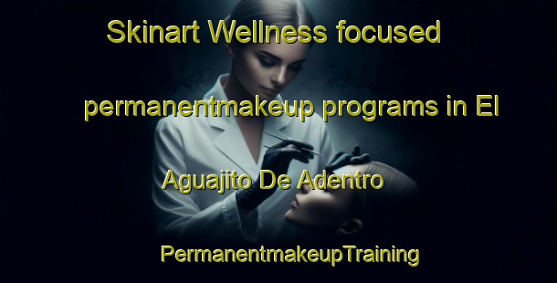 Skinart Wellness-focused permanentmakeup programs in El Aguajito De Adentro | #PermanentmakeupTraining #PermanentmakeupClasses #SkinartTraining-Mexico