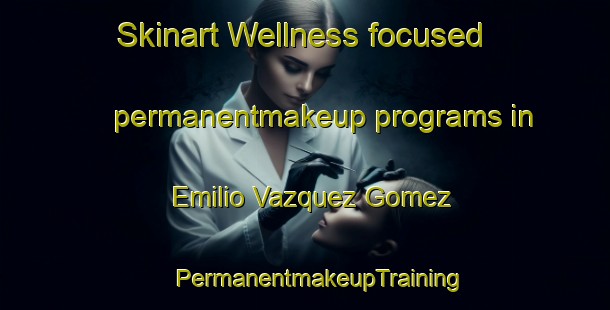 Skinart Wellness-focused permanentmakeup programs in Emilio Vazquez Gomez | #PermanentmakeupTraining #PermanentmakeupClasses #SkinartTraining-Mexico