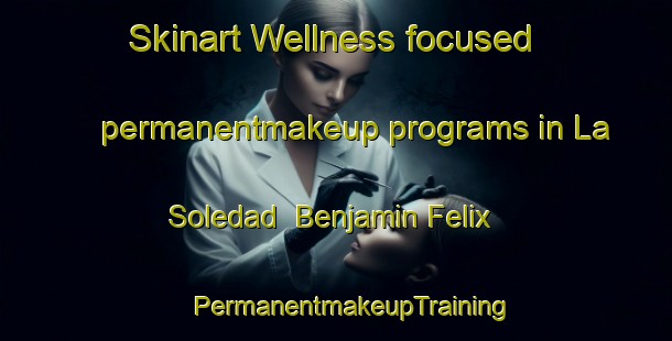 Skinart Wellness-focused permanentmakeup programs in La Soledad  Benjamin Felix | #PermanentmakeupTraining #PermanentmakeupClasses #SkinartTraining-Mexico