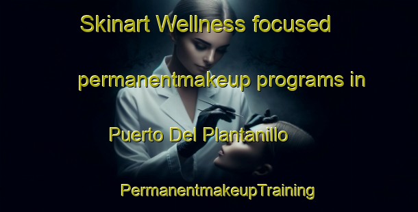 Skinart Wellness-focused permanentmakeup programs in Puerto Del Plantanillo | #PermanentmakeupTraining #PermanentmakeupClasses #SkinartTraining-Mexico